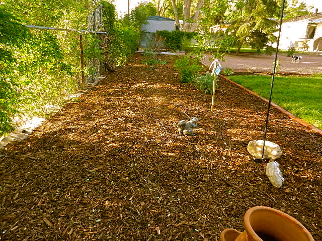 d0260278_1363398.jpg