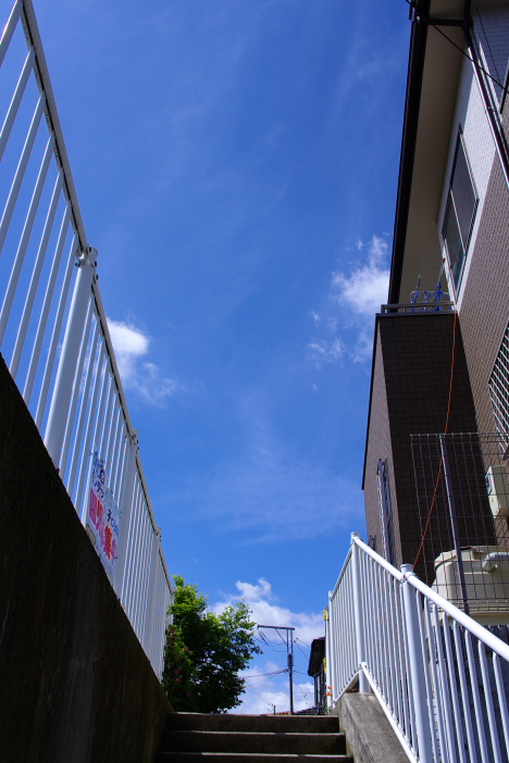 b0120979_13552513.jpg