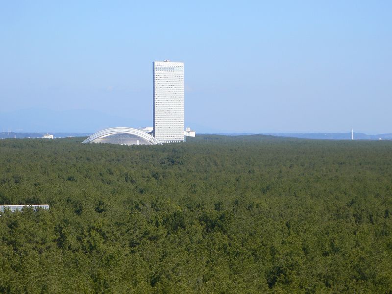b0042882_1948316.jpg