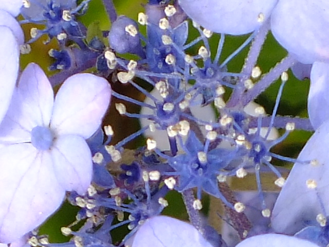 e0145782_17271973.jpg