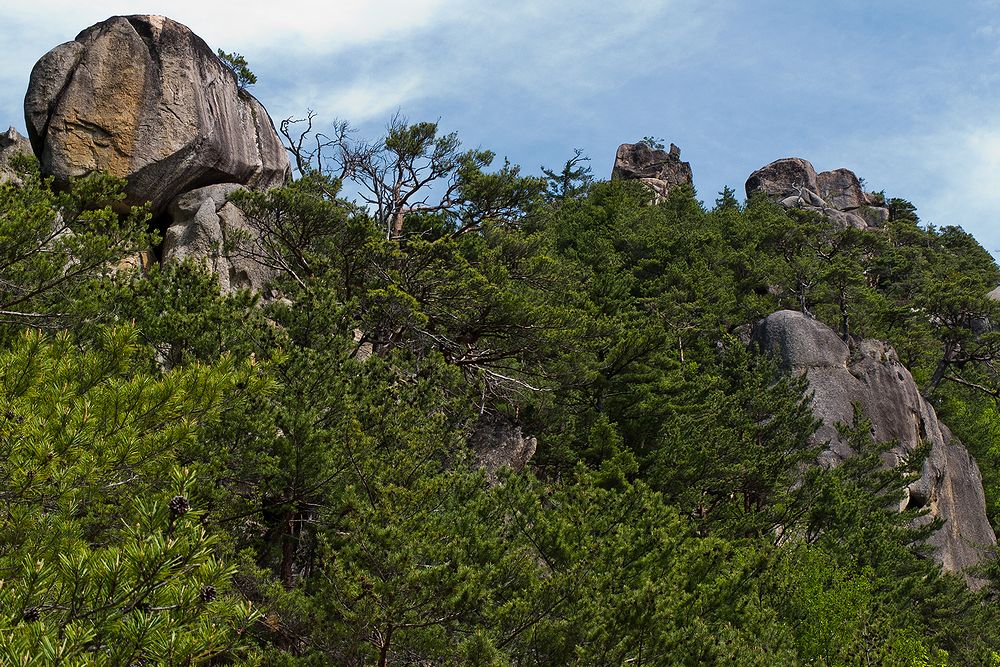 f0234982_22512489.jpg