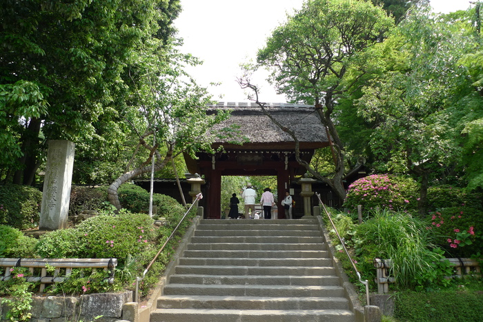 a0127090_21155981.jpg