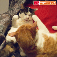 人気ブログランキングへ