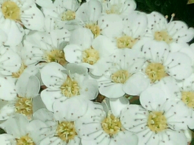 c0208099_23351170.jpg