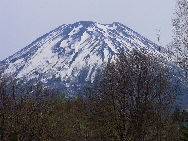 f0157901_17122515.jpg