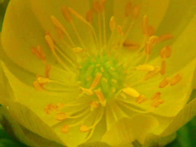f0157901_17132981.jpg