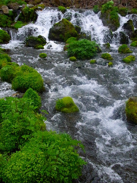 f0157901_1713888.jpg