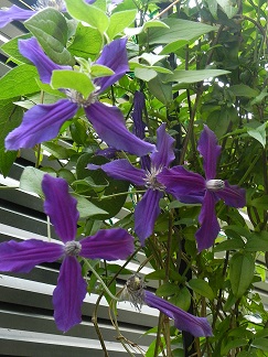 c0152002_10265764.jpg