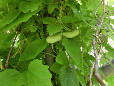 a0203003_1947137.jpg