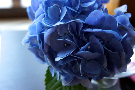 c0148705_21351728.jpg
