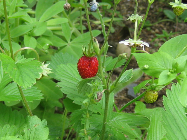b0289206_19553032.jpg