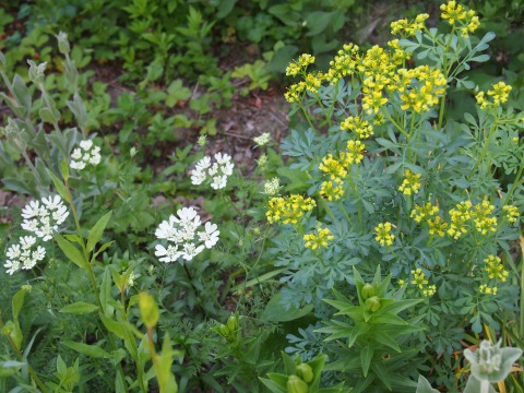 c0117007_22132238.jpg