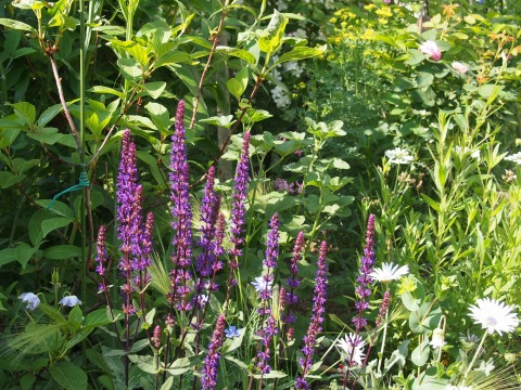 c0117007_2213888.jpg