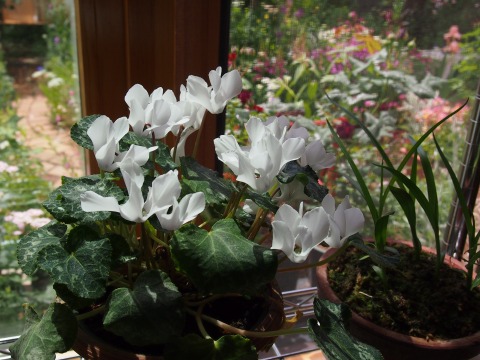 c0117007_22163431.jpg