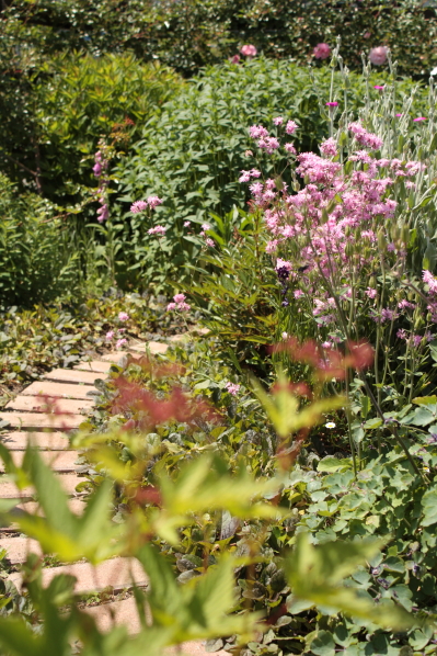 d0001008_15312581.jpg
