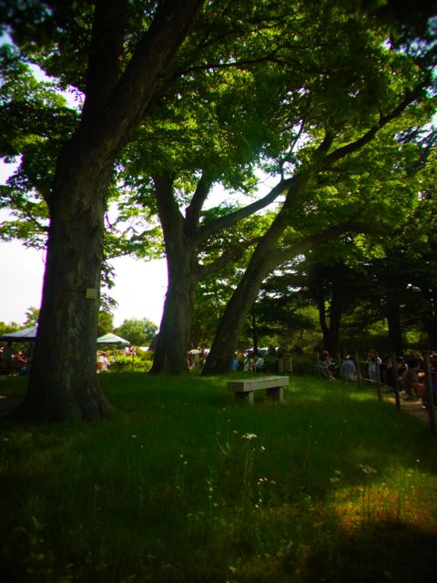 b0183911_22275763.jpg