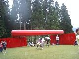 c0202613_2340560.jpg