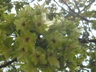 a0157619_2343125.jpg