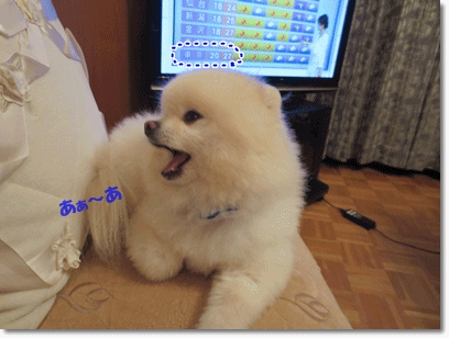 b0167519_20333814.gif