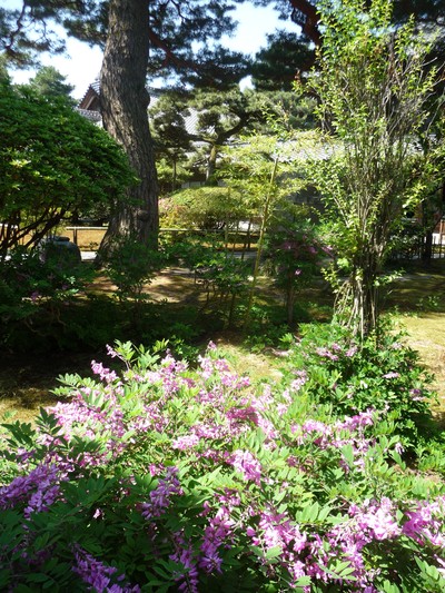e0135219_1213754.jpg