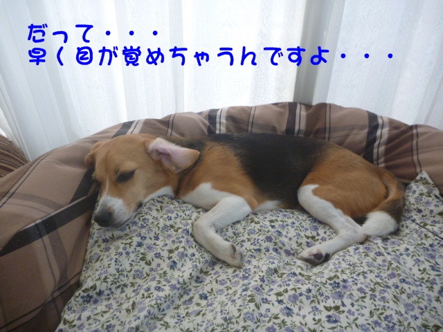 c0166622_10431640.jpg