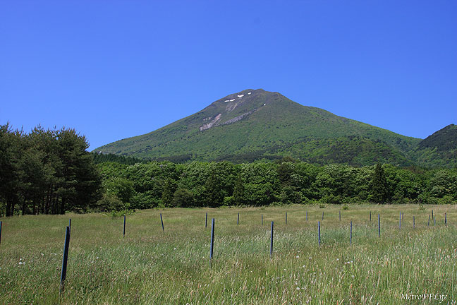 e0112722_1059860.jpg