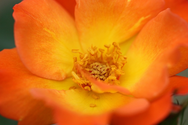 a0242438_19144073.jpg