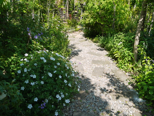 c0195439_23415111.jpg