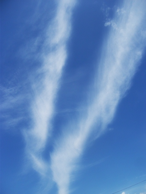 d0194741_1638139.jpg