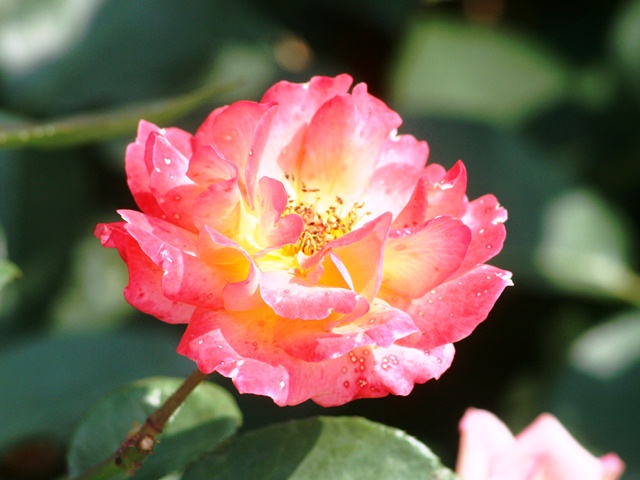 b0289649_20282974.jpg