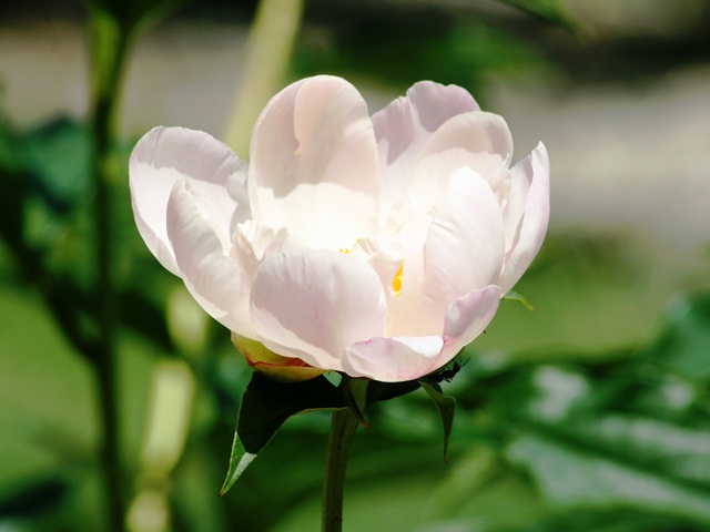 b0289649_20293476.jpg