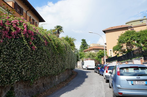 c0206352_454325.jpg