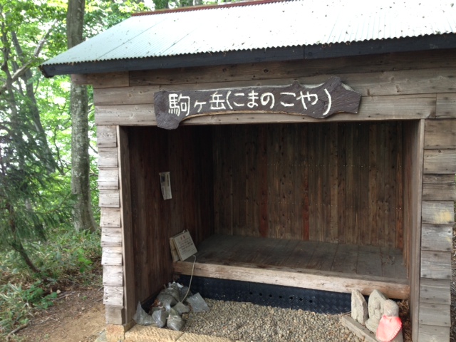 f0036360_13151855.jpg