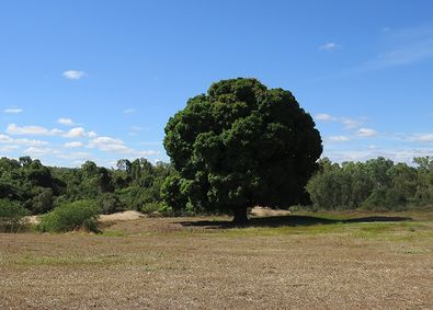f0196665_15205133.jpg