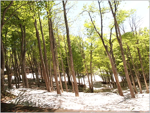c0221169_942773.jpg