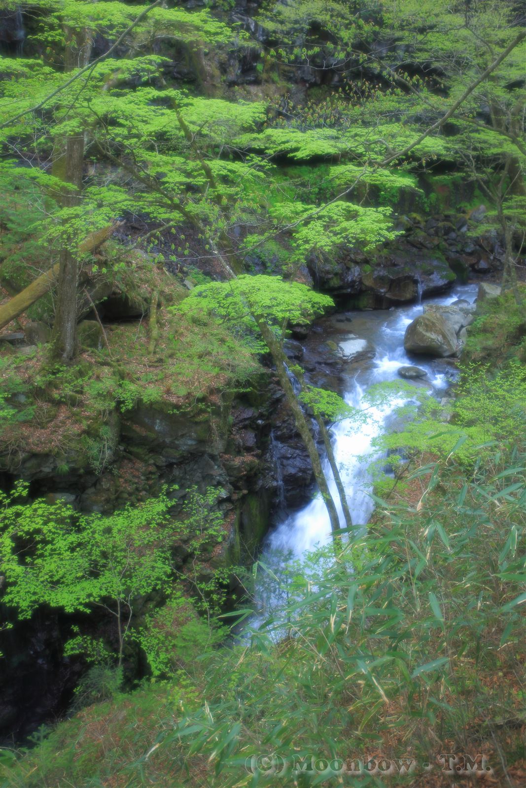 e0197769_18524442.jpg