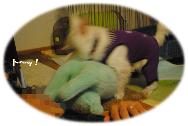 b0242873_20201273.png