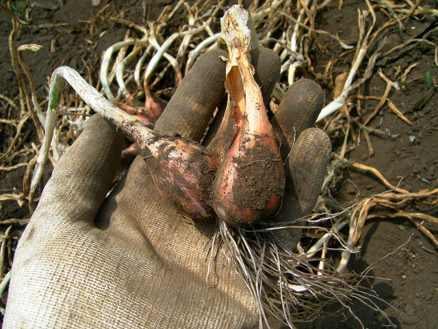 d0225575_12525334.jpg