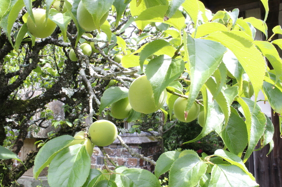 b0289777_11132463.jpg