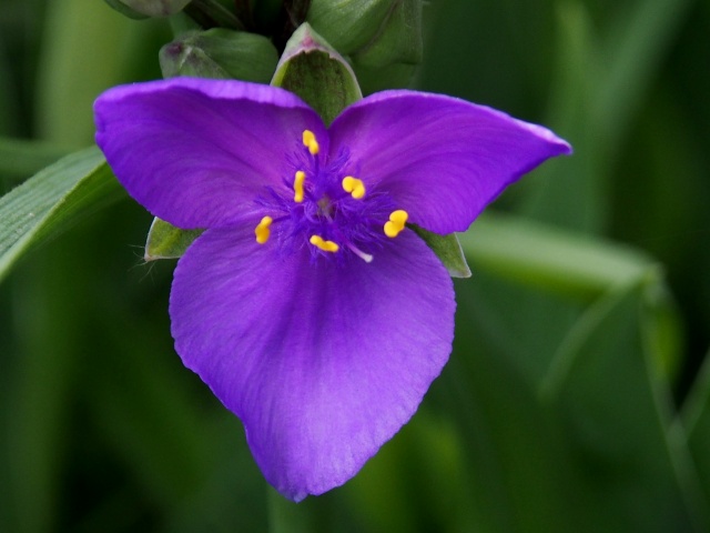 c0183777_8415920.jpg