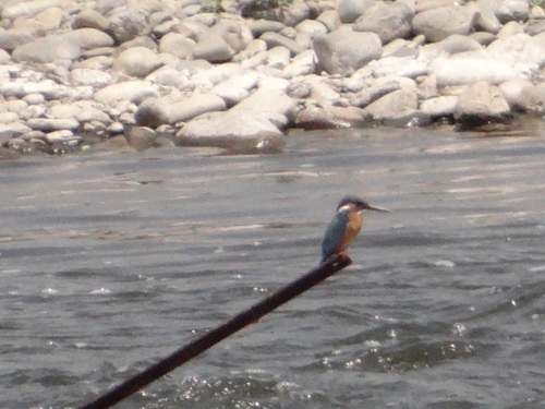 e0098079_23424862.jpg