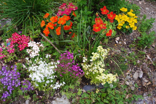 f0215179_1073350.jpg