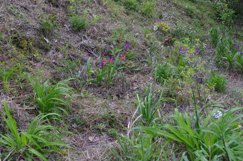 f0215179_1193324.jpg