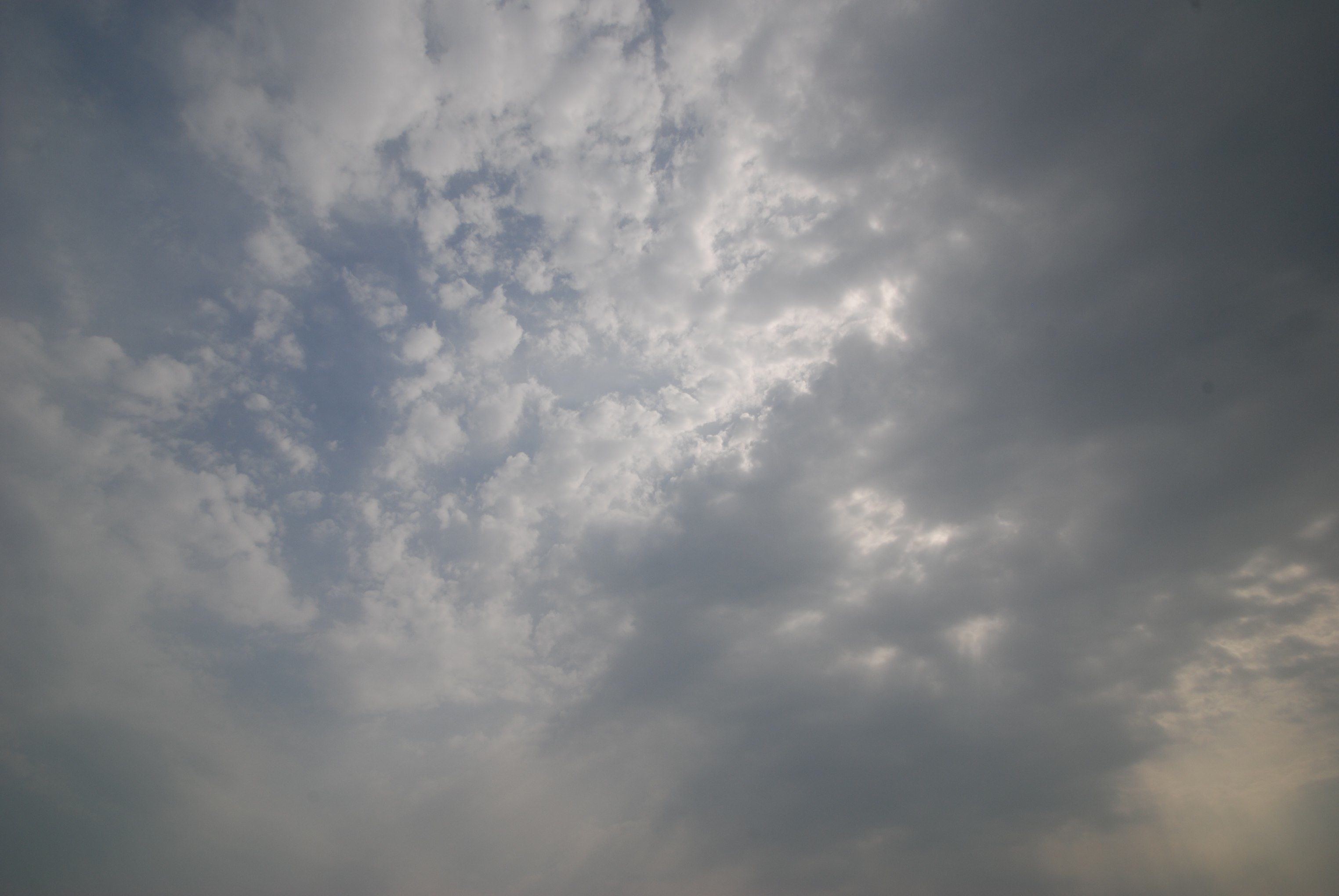 f0215179_9512299.jpg