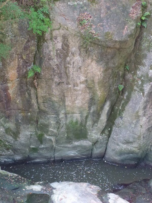 b0118987_1735646.jpg