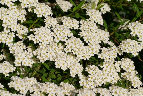 b0226089_2105789.jpg