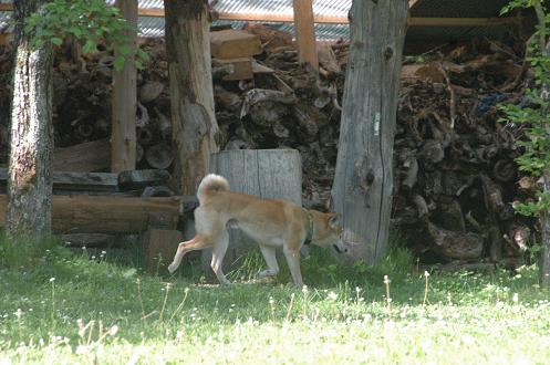 c0123890_2148716.jpg