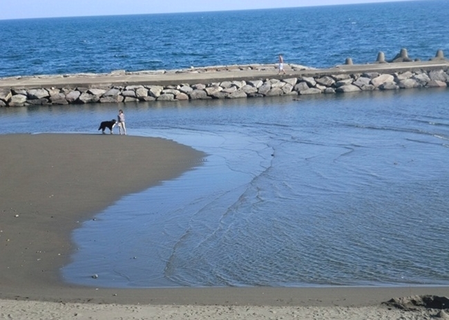 e0143690_10454649.jpg