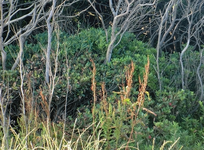 e0143690_10512554.jpg