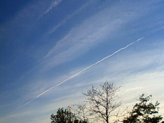f0018790_91239100.jpg